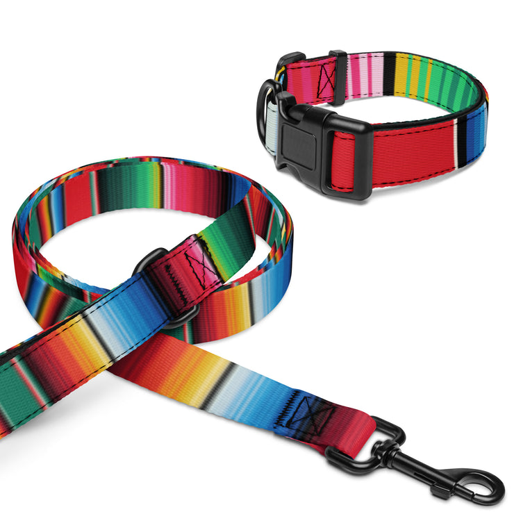 Pet collar & leash