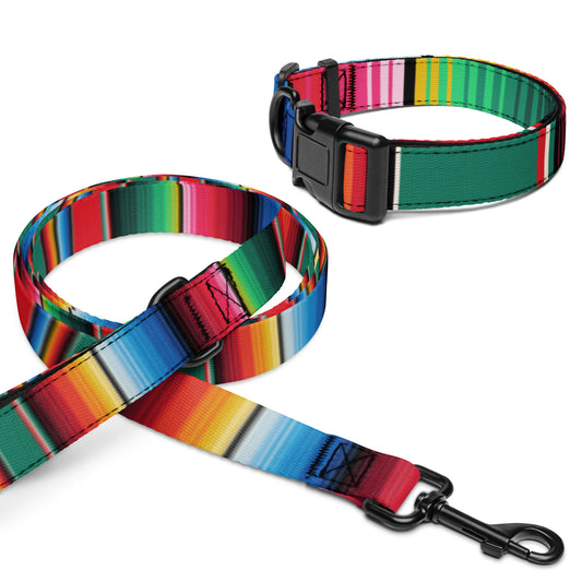 Pet collar & leash