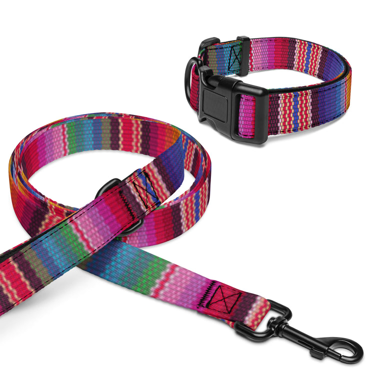 Pet collar & leash