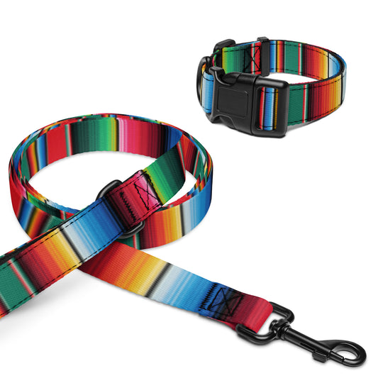 Pet collar & leash
